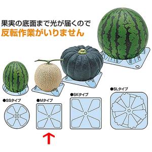 48個 プチバスケット WB-25 ハンギングバスケット 伊藤商事 タS 個人