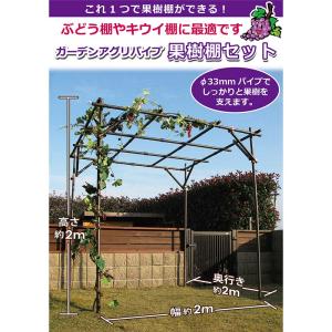 パーゴラ 果樹棚 くだもの棚 藤棚 セットM 1台 ぶどう キウイ 棚 栽培