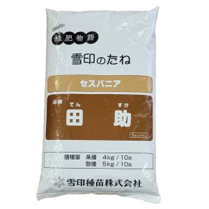 種 20kg セスバニア 田助 でんすけ 畑地 ...の商品画像