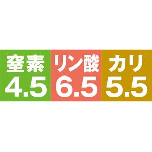 アラフェスタ 1kg ALA-FeSTA 万能...の詳細画像3