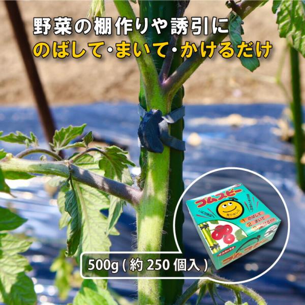 ゴムスビー 500g ( 約250本入 ) 園芸用万能輪ゴム 野菜 花 誘引 結束 棚作り 耐候性 ...