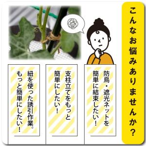 ゴムスビー 500g ( 約250本入 ) 園...の詳細画像2