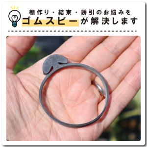 ゴムスビー 500g ( 約250本入 ) 園...の詳細画像3