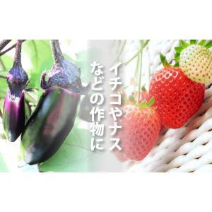 天敵製剤 スワマイト 25000頭 500ml...の詳細画像2