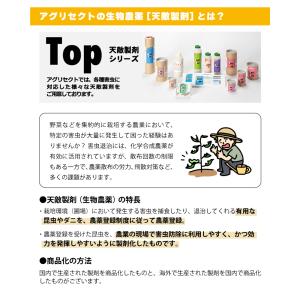 天敵製剤 スワマイト 25000頭 500ml...の詳細画像3