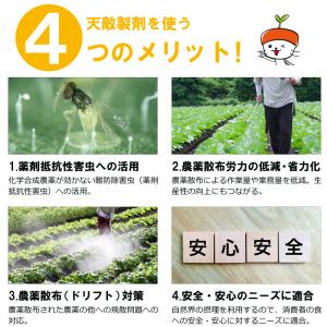 天敵製剤 スワマイト 25000頭 500ml...の詳細画像4