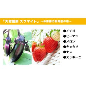 天敵製剤 スワマイト 25000頭 500ml...の詳細画像5