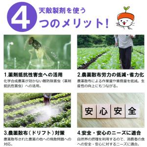 天敵製剤 ミッチトップ チリカブリダニ400頭...の詳細画像4