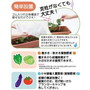 プランターキャップL 2枚入 岩谷マテリアル ...の詳細画像2