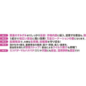 40本 MICベネビアOD 250ml 野菜散...の詳細画像1