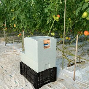 まるはな冷すばこ マルハナバチ巣箱の冷却箱 ア...の詳細画像2