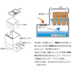 まるはな冷すばこ マルハナバチ巣箱の冷却箱 ア...の詳細画像3