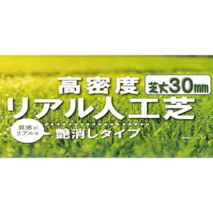 2巻 リアル人工芝 1m×5m 芝丈30mm ...の詳細画像2