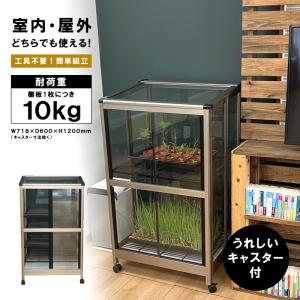 ＼キャスター付／ 折りたたみ式 ガラス温室 家庭用 SQU-600 受注生産品 室内 室外 ガラス ...