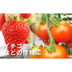 2箱 アグリ・トップ クロマルNEXT クロマ...の詳細画像3