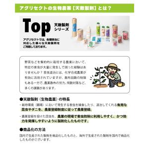 2個 天敵製剤 チリトップ 2000頭 500...の詳細画像3