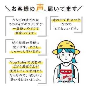 選べる2色 200個×2袋 接木フレンド 5色...の詳細画像1