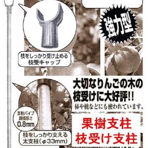 50本 イボ竹 33mm×4m 黒 果樹支柱 セキスイ タS 個人宅配送不可 代引