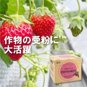 アグリ・トップ クロマルNEXT クロマルハナ...の詳細画像1