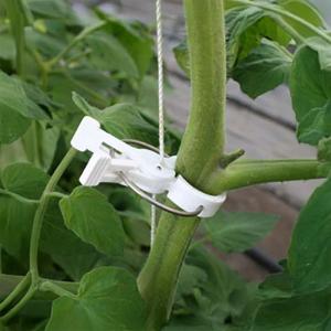 50個セット 白・黒選択) パスカル トマト誘引フック ローラーフック