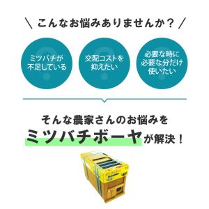 ミツバチ 受粉用 ミツバチボーヤ8000 長期...の詳細画像1