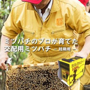 三木章刃物本舗 ブロッコリーカッター ステンレス刃 送料無料