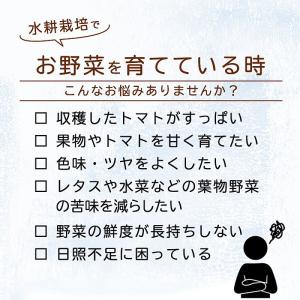 水耕栽培用 活性剤 もっとウマく育てたい時のサ...の詳細画像1
