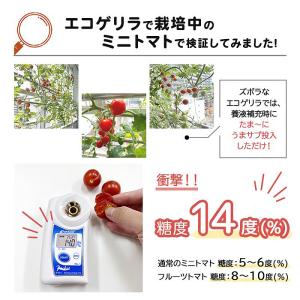 水耕栽培用 活性剤 もっとウマく育てたい時のサ...の詳細画像3