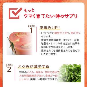 水耕栽培用 活性剤 もっとウマく育てたい時のサ...の詳細画像4