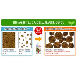 土壌改良資材 EB-a 20L 発根促進 液肥...の詳細画像1