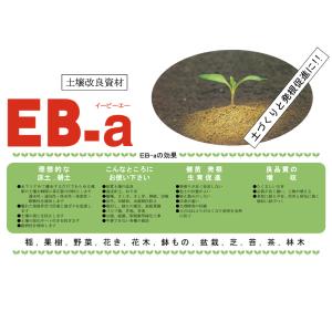 土壌改良資材 EB-a 20L 発根促進 液肥...の詳細画像2