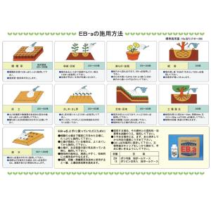 土壌改良資材 EB-a 20L 発根促進 液肥...の詳細画像3