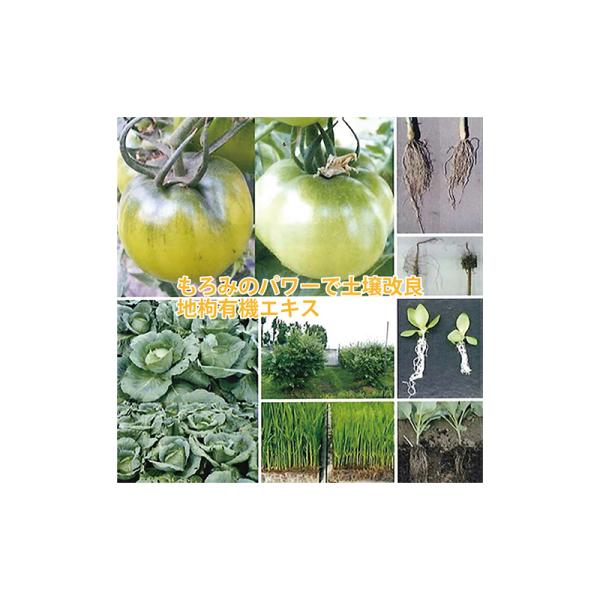 個人宅配送不可 土壌改良資材 地枸有機エキス 20kg 高機能 もろみ濃縮液 作物 育成 品質 向上...