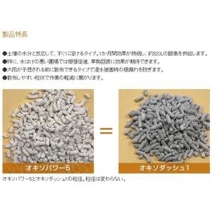 100袋 オキソダッシュ1 速効型酸素供給剤 ...の詳細画像1