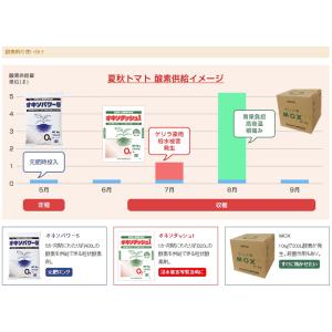 100袋 オキソダッシュ1 速効型酸素供給剤 ...の詳細画像2
