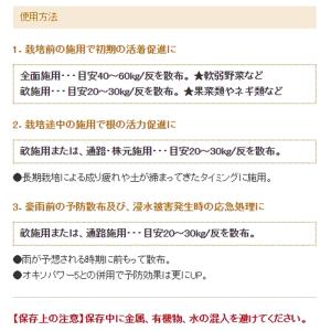 100袋 オキソダッシュ1 速効型酸素供給剤 ...の詳細画像3