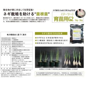 4袋 微生物土壌改良材 育苗用G2 5kg 松...の詳細画像1