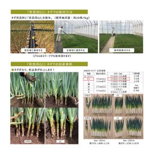 4袋 微生物土壌改良材 育苗用G2 5kg 松...の詳細画像4