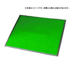 ブライトマット2 大 60 × 90 (cm) 色：黄緑 カラーバリエーション 高級感 カーペット 大一産業 共B 個人宅配送不可 代引不可