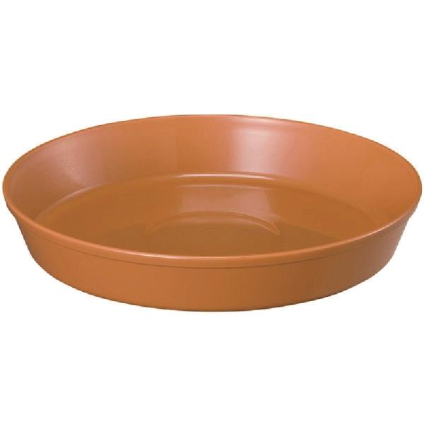 80個 浅皿 10号 ブラウン ポット 鉢 様々なサイズ ヤマト タS 個人宅配送不可 代引不可 大...