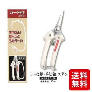 メール便 さつき鋏 (細枝切鋏) 越乃興三 ステンレス 鋼付 1007 剪定鋏