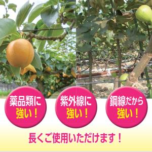 オーチャドワイヤ TB-G40-4.0-2.6...の詳細画像3