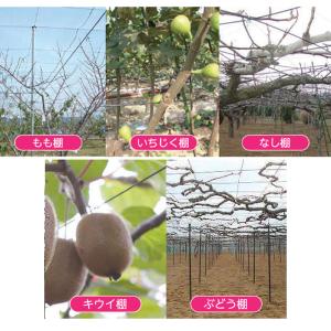 オーチャドワイヤ TB-G40-4.0-2.6...の詳細画像4