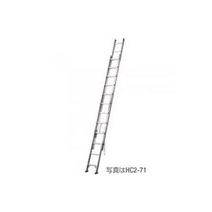 個人宅配送不可 2連はしご 全長:4m16cm 長谷川工業 HC2-41 北海道別途 