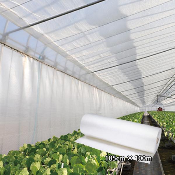 サニーコート 内張りタイプ 185cm×100m 中空二層構造 保温被覆資材 ビニールハウス ハウス...