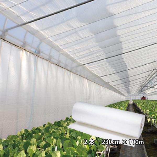 2本 サニーコート 内張りタイプ 230cm×100m 中空二層構造 保温被覆資材 ビニールハウス ...