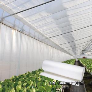 2本 サニーコート 内張りタイプ 300cm×100m 中空二層構造 保温被覆資材 ビニールハウス ハウス 保温 シート 宇部エクシモ タS 個人宅配送不可 代引不可