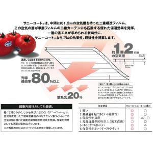 2本 サニーコート 内張りタイプ 300cm×...の詳細画像2