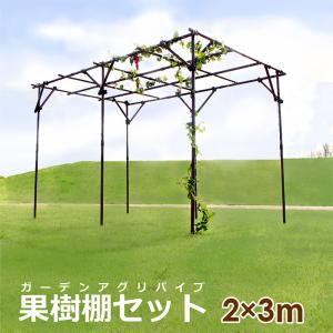 パーゴラ 果樹棚 くだもの棚 藤棚 セットS 1台 ぶどう キウイ 棚 栽培