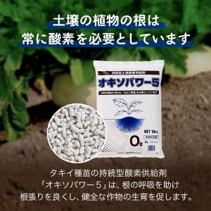 100袋 オキソパワー5 酸素供給剤 10kg...の詳細画像2